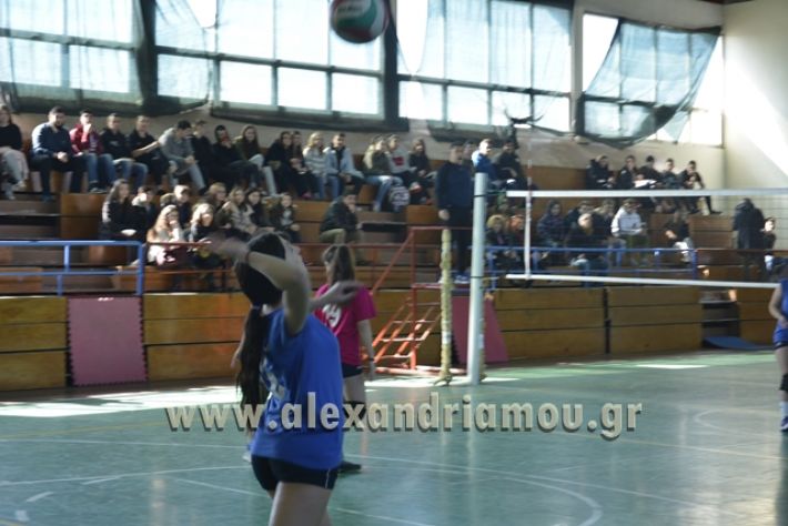 volley_1o-alexandreias-melikis2018 (11)